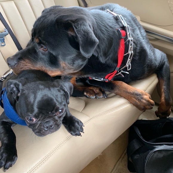 ⭐️⭐️CHECK OUT 💥⚡️✨💫 - Picture 2 of 8